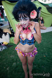 Coachella flower