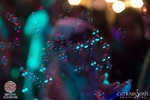 abundance-006-7B7A6216.jpg