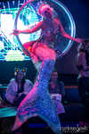 abundance-067-7B7A8158.jpg