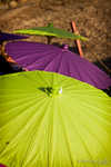 IMG_5375.jpg