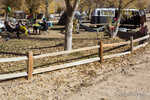 bass-034-7B7A4472.jpg