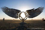 Morning wings