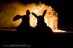Bunnies do things together...