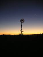 Highlight for album: Burning Man 2005!