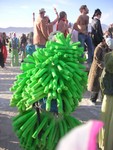 PICT4948.JPG