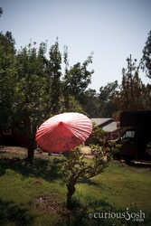 7V9Z5561.jpg