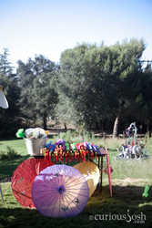 IMG_5295.jpg