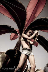 Dancing in the oasis