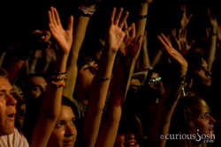 The crowd loves it