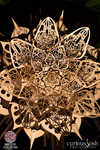 decadance-008-7B7A6840.jpg