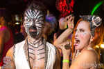 decadance-025-7B7A6529.jpg