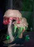 100_2069.jpg
