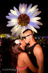 edc2911-006.jpg