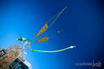 edc2911-278.jpg