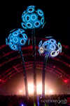 edc2911-307.jpg