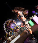 edc2911-311.jpg