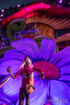edc2013-025-7B7A1015.jpg