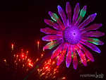 edc2013-094-7B7A0819.jpg