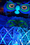 edc2013-137-7B7A3560.jpg