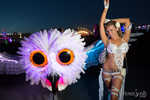 edc2013-187-7B7A1249.jpg
