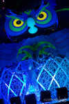 edc2013-221-7B7A3502.jpg