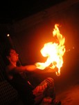 Forest Fire!