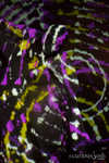 7B7A2818.jpg