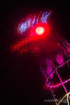 7B7A4240.jpg