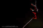 IMG_3742-2.jpg