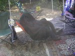 When the camping gets cold... Victor goes "Wookie"