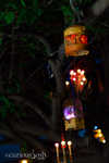 IMG_6971.jpg