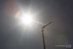 lib2013-075-7B7A1161.jpg