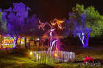 lib2013-234-7B7A8928.jpg