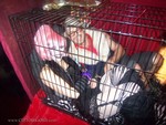 100_7149.jpg