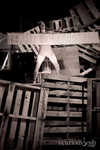 7V9Z4879.jpg