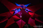 lucidity-036-7B7A6975.jpg