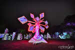 lucidity-071-7B7A7139.jpg