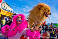 Highlight for album: Venice Mardi Gras!