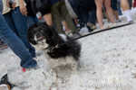 IMG_8623.jpg