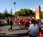 IMG_2915.jpg