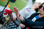IMG_7239.jpg