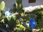 PICT0247.JPG