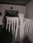 PICT6276.JPG