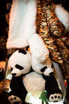 stuffed-001-7B7A5918.jpg