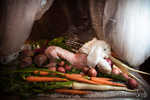 stuffed-012-7B7A5802.jpg