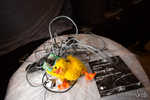 stuffed-055-7B7A5831.jpg