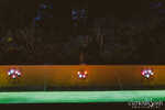 sweetdreams-041-7B7A9008.jpg