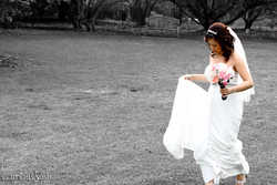 7V9Z7977.jpg